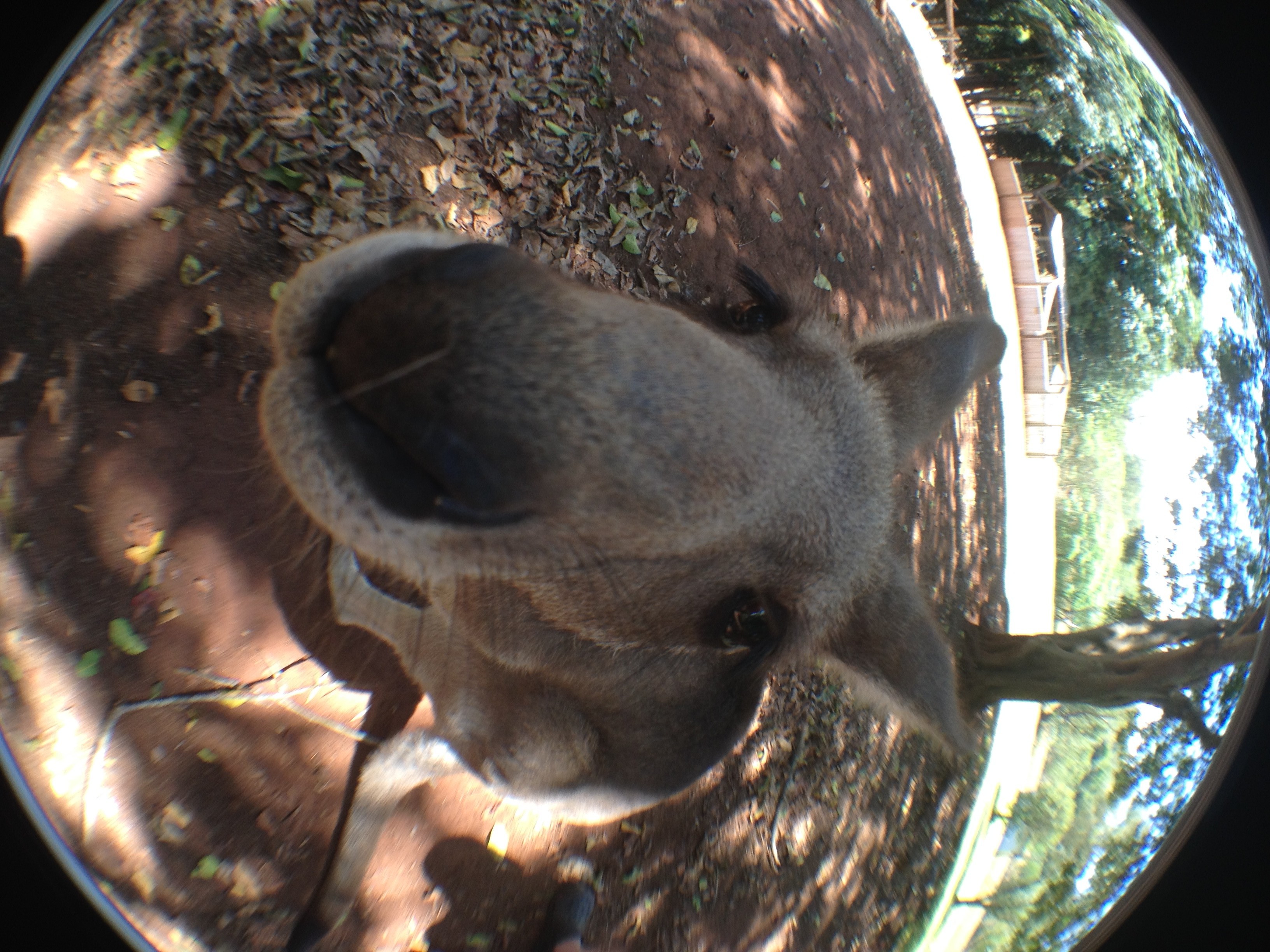 Australia – 2 Weeks In