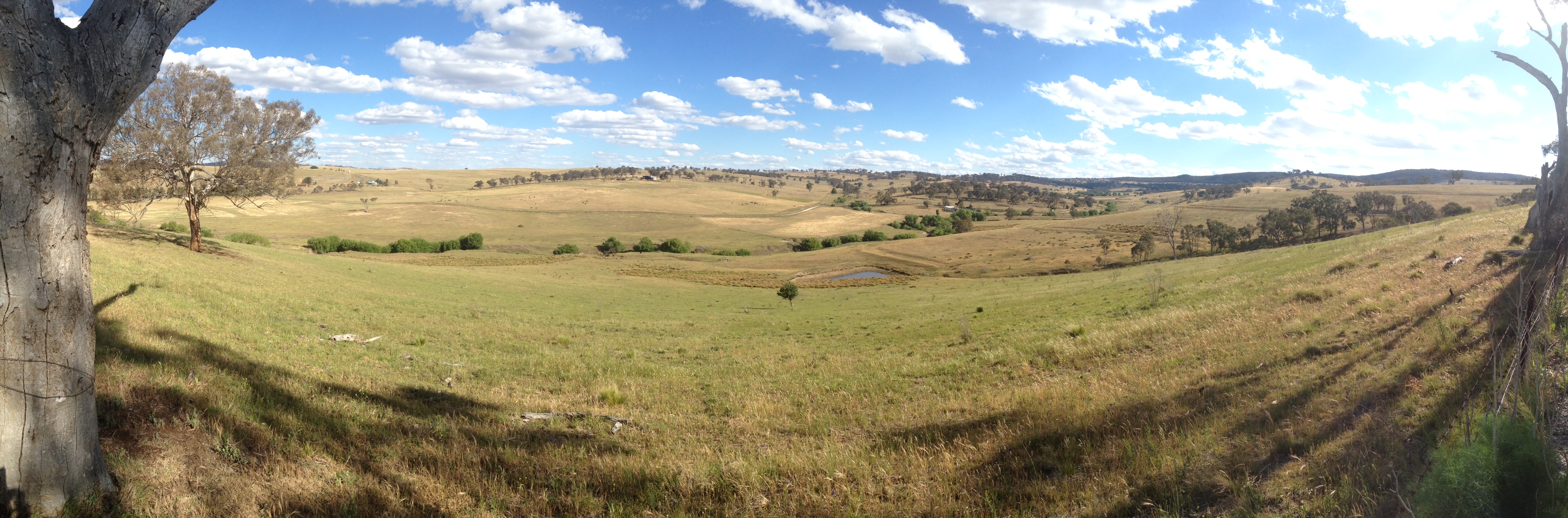 Thoughts after a week in Australia