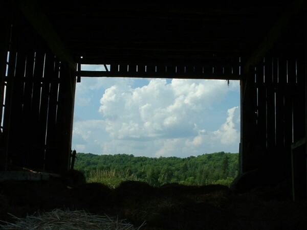 Remembering Camp